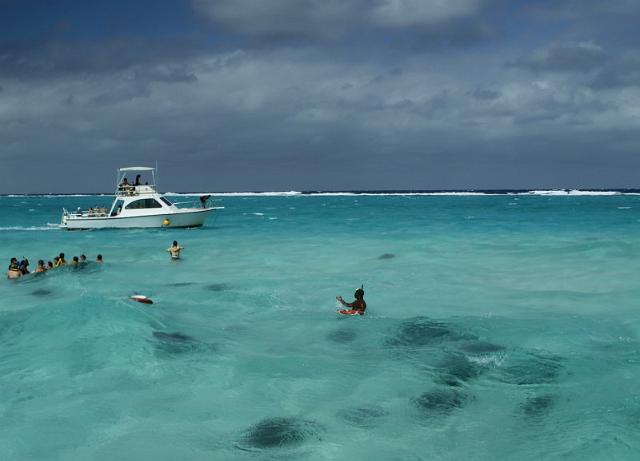 109 Zwemmen met pijlstaartroggen, Grand Cayman.JPG